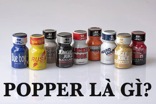 popper là gì