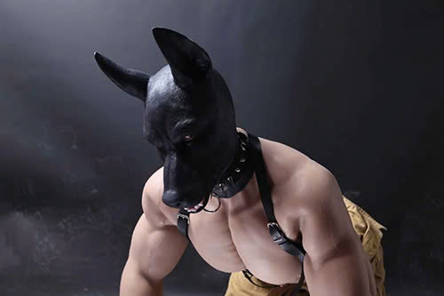 hình thức slave dog là gì