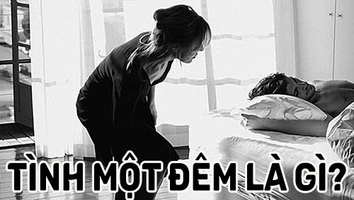 tình một đêm là gì