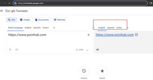 Cách vào Porn hub bằng Google Dịch